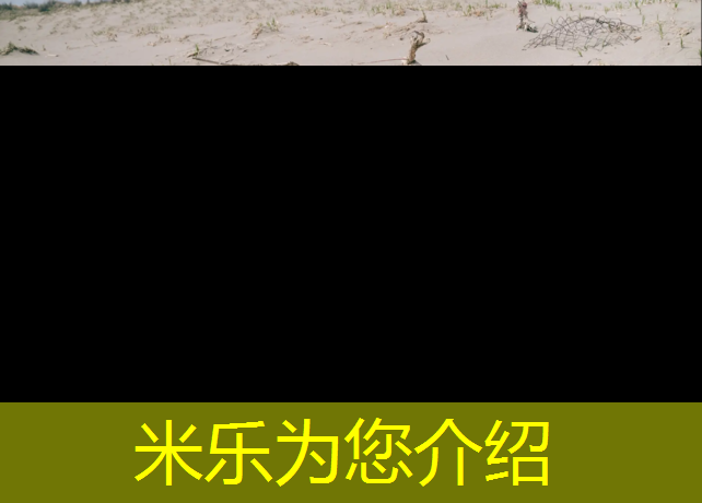 米乐为您介绍：塔城碧桂园塑胶跑道